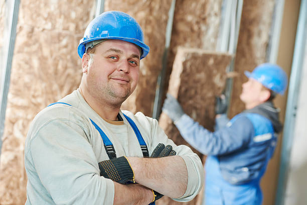 Best Insulation Replacement Services  in Orida City, FL